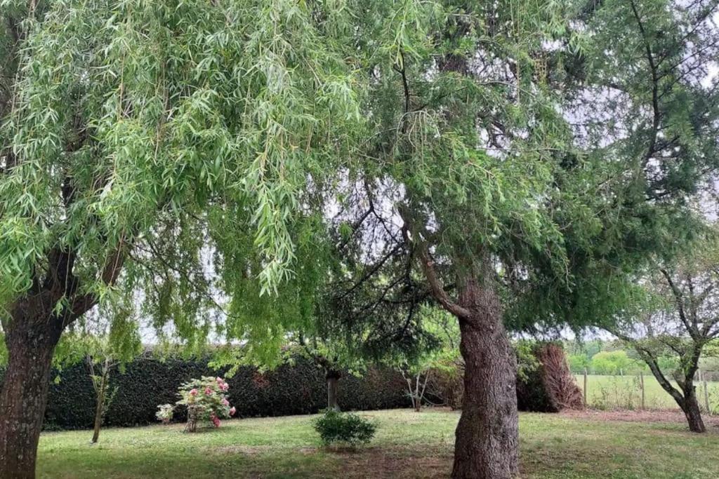 Apartment Le Pressoir De Cheverny~chateau~golf~